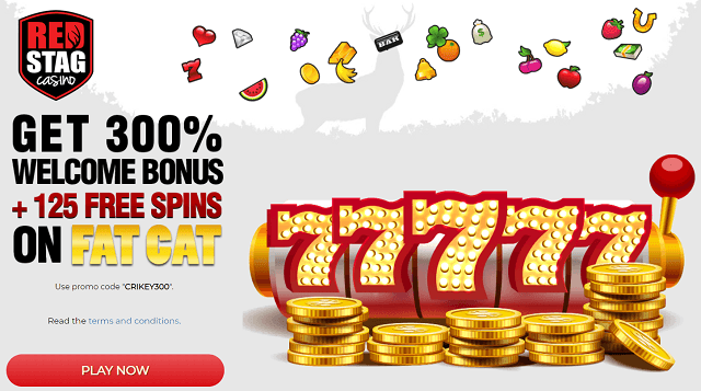 Red Stag Casino No Deposit Bonus 2018 Red Stag Casino No Deposit Bonus 2018