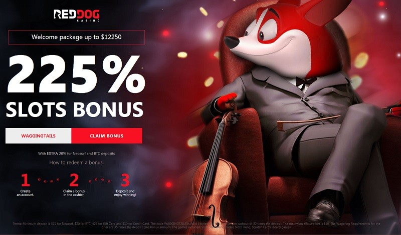 Red Dog casino
