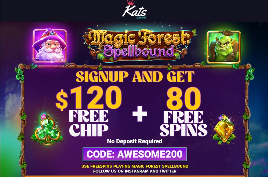 Limity depozytów i opcje płatności obsługiwane przez kasyno Kaktuz